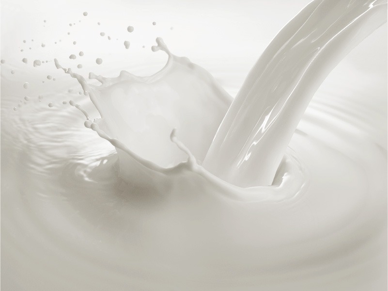 Lignes de processus: lait, sérum et saumure